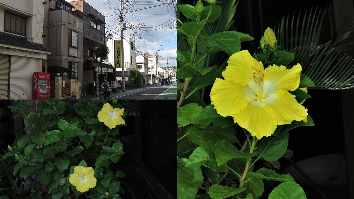 f:id:hansui:20201022163136j:plain