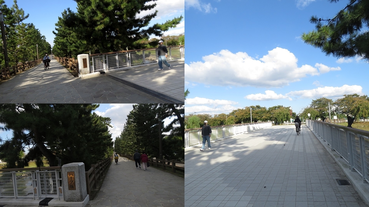 f:id:hansui:20201022204147j:plain