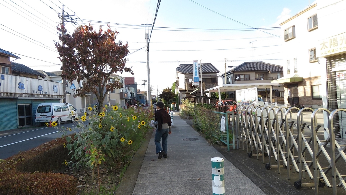 f:id:hansui:20201023062400j:plain