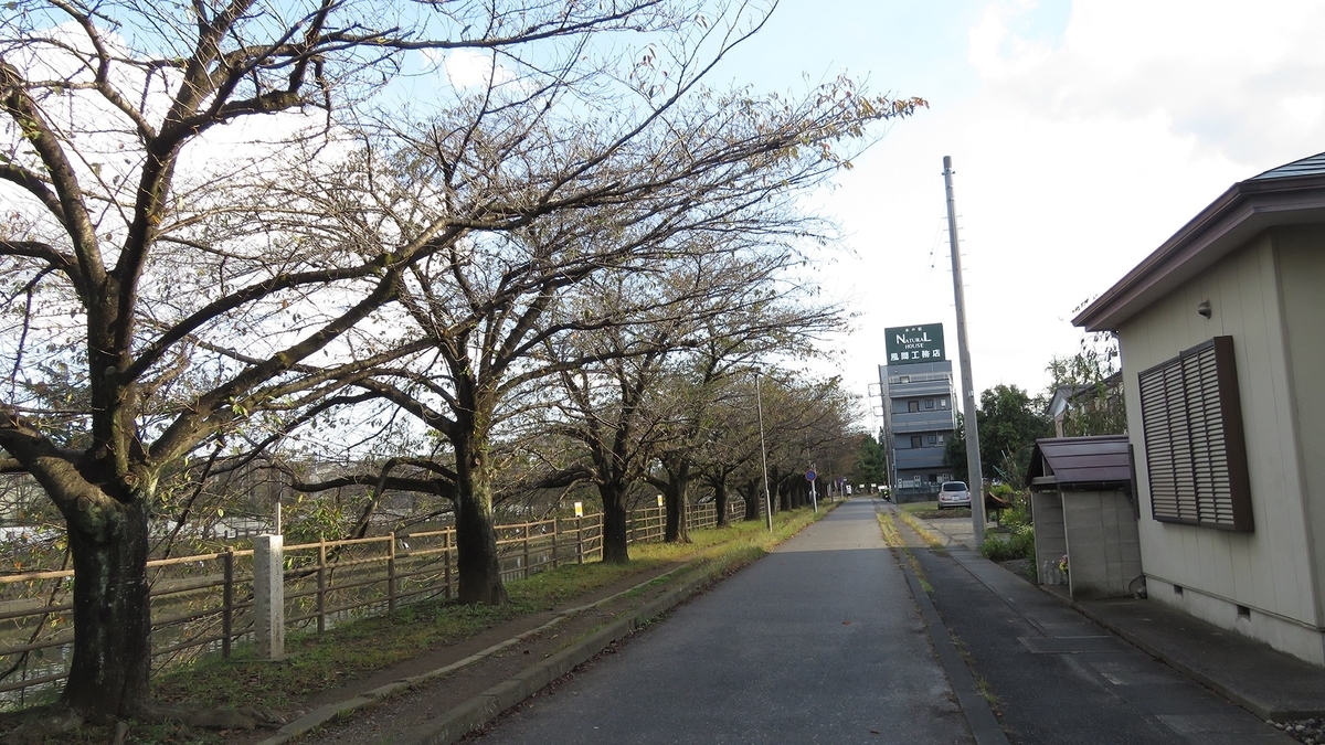 f:id:hansui:20201023105953j:plain