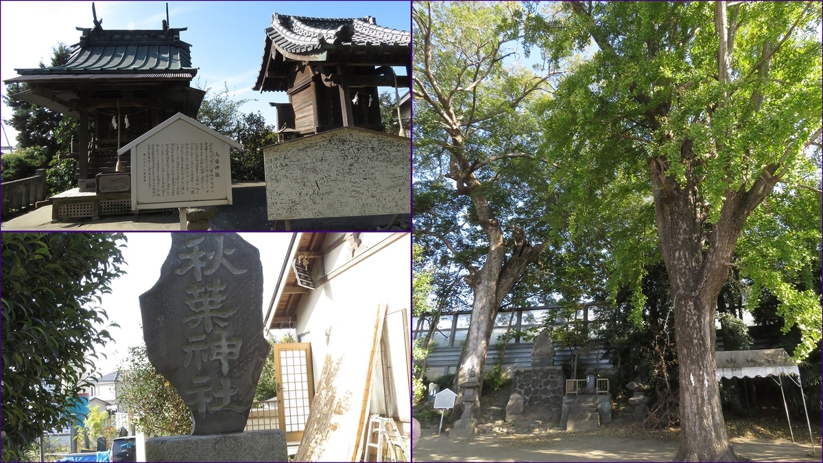 f:id:hansui:20201116152157j:plain
