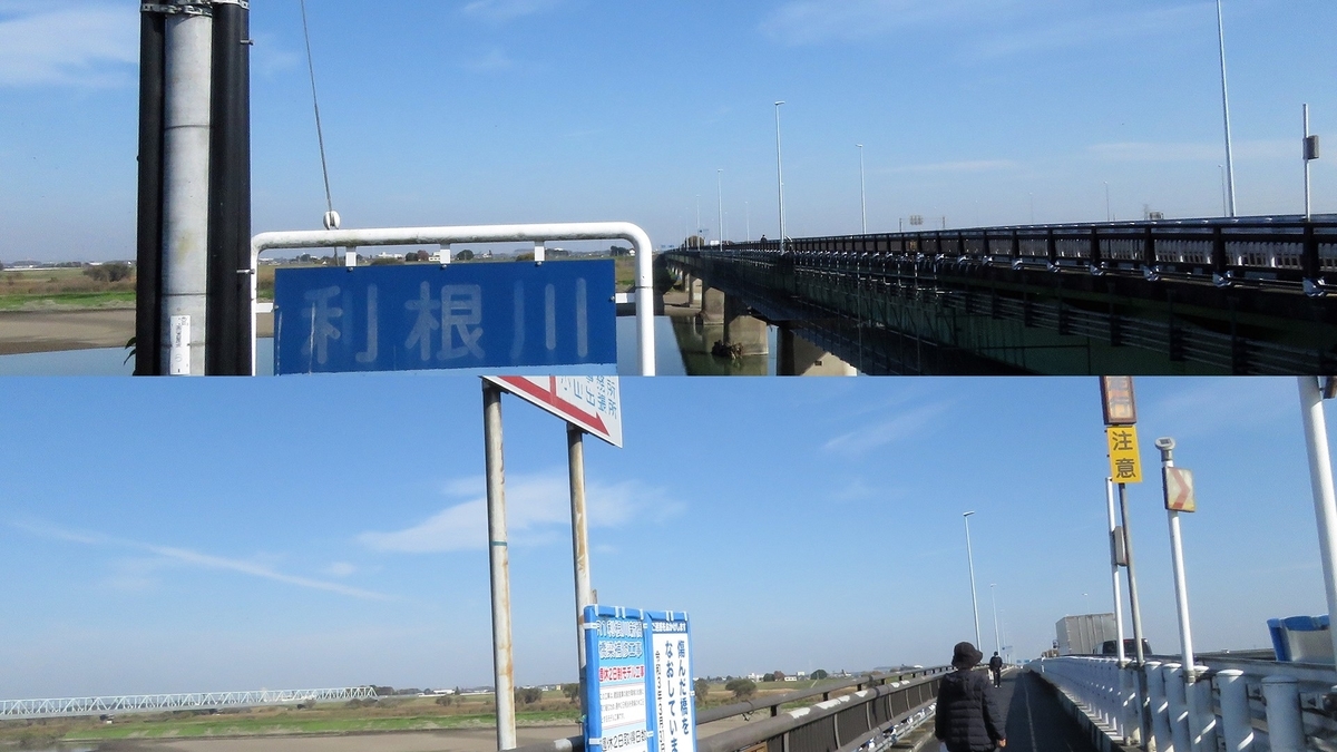 f:id:hansui:20201116203206j:plain