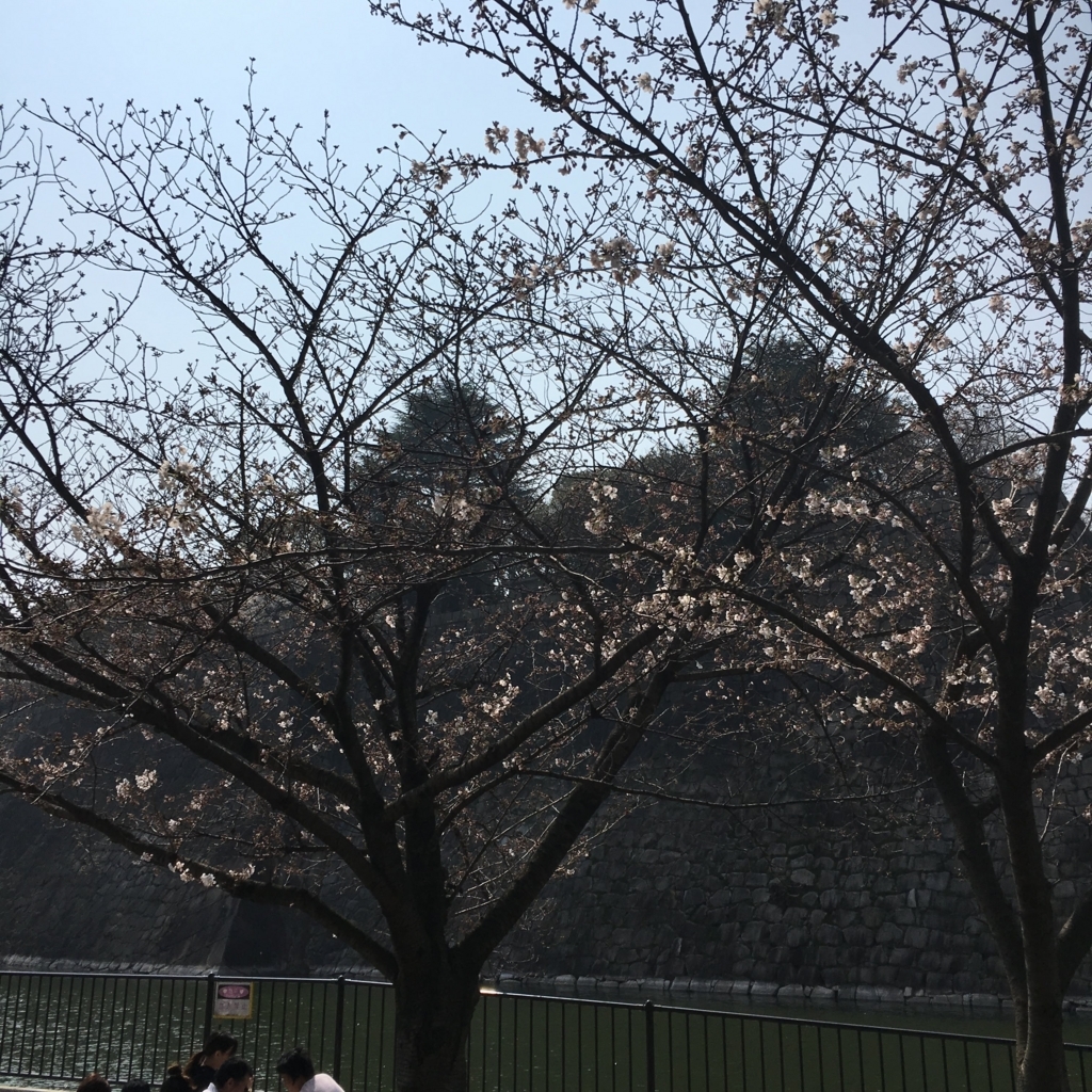f:id:hant2468:20180325195005j:plain