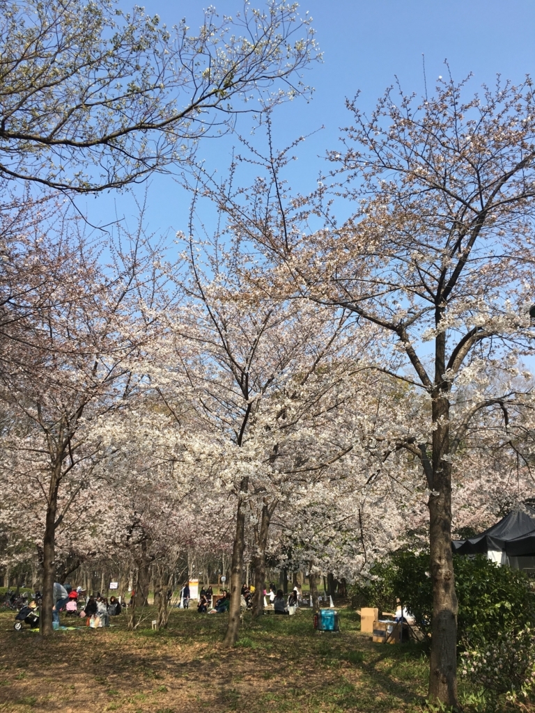 f:id:hant2468:20180325195511j:plain