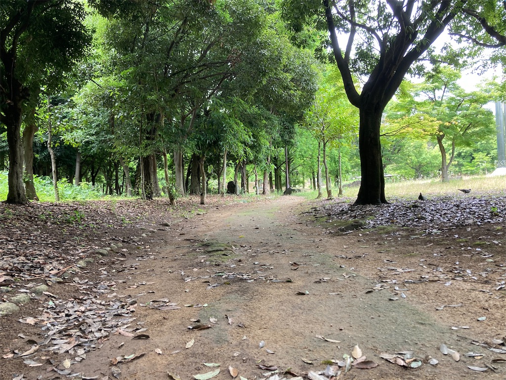 f:id:hant2468:20220622172727j:image