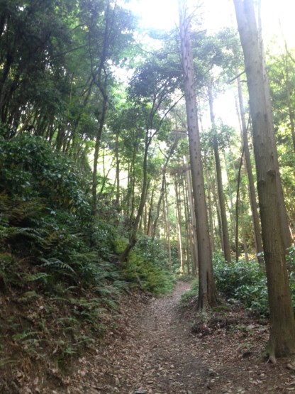 f:id:hantenmok:20150520031335j:image