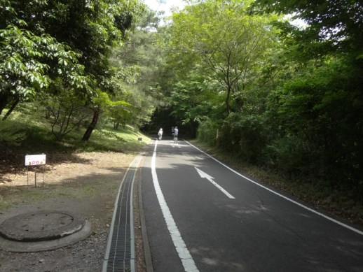 f:id:hantenmok:20150610012158j:image