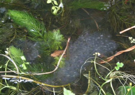 f:id:hantubojinusi:20090308135200j:image