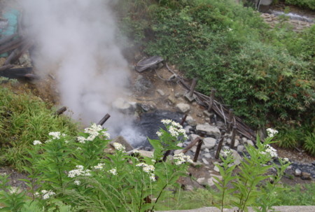 f:id:hantubojinusi:20090810090801j:image