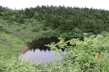 f:id:hantubojinusi:20090810095018j:image