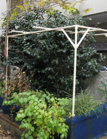 f:id:hantubojinusi:20100111120037j:image f:id:hantubojinusi:20100111120037j:image