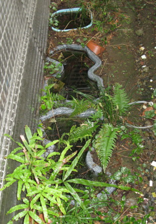 f:id:hantubojinusi:20100306122441j:image