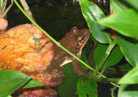 f:id:hantubojinusi:20100411165515j:image f:id:hantubojinusi:20100411165515j:image