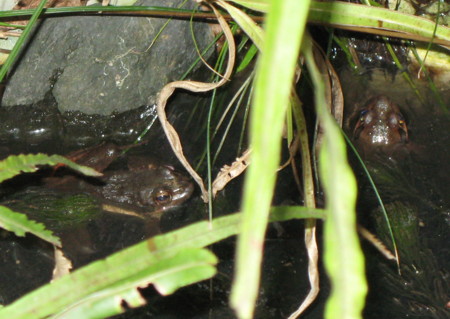 f:id:hantubojinusi:20100411172608j:image f:id:hantubojinusi:20100411172608j:image