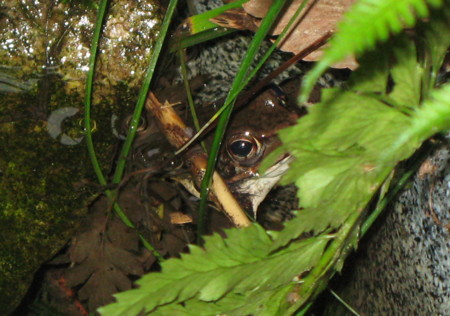 f:id:hantubojinusi:20100411172904j:image f:id:hantubojinusi:20100411172904j:image