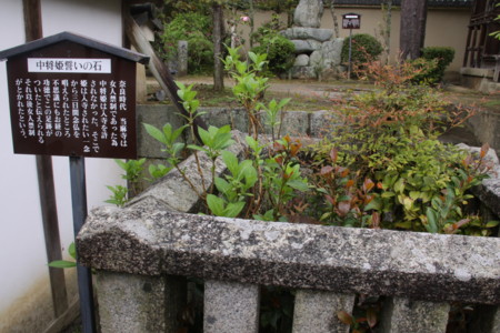 f:id:hantubojinusi:20110501113514j:image