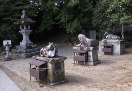 f:id:hantubojinusi:20111001130102j:image