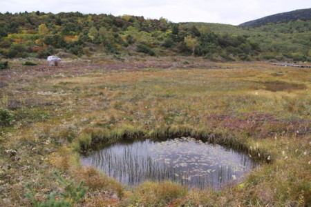 f:id:hantubojinusi:20111002101559j:image