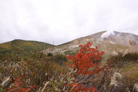 f:id:hantubojinusi:20111002101658j:image