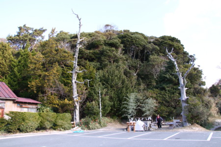 f:id:hantubojinusi:20111230093940j:image