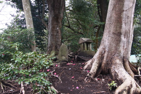 f:id:hantubojinusi:20120318092757j:image