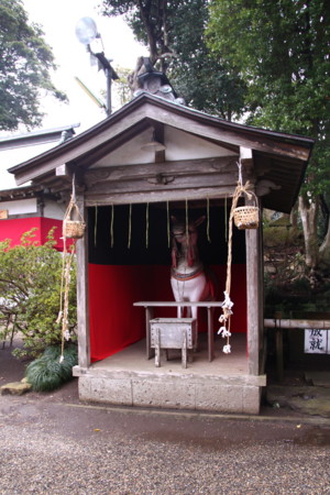 f:id:hantubojinusi:20120318092824j:image