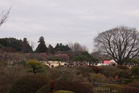 f:id:hantubojinusi:20120318113414j:image