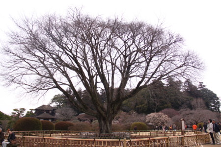 f:id:hantubojinusi:20120318114459j:image