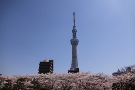 f:id:hantubojinusi:20120409115437j:image f:id:hantubojinusi:20120409115437j:image