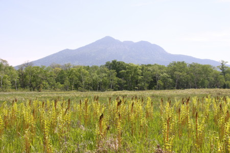 f:id:hantubojinusi:20120624090429j:image f:id:hantubojinusi:20120624090429j:image