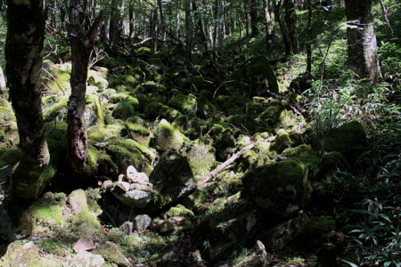 f:id:hantubojinusi:20120929121337j:image