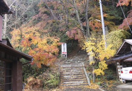 f:id:hantubojinusi:20121201121032j:image