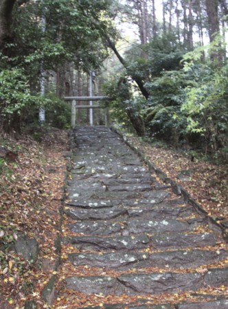 f:id:hantubojinusi:20121201121136j:image