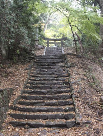 f:id:hantubojinusi:20121201121234j:image