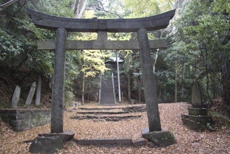 f:id:hantubojinusi:20121201121325j:image