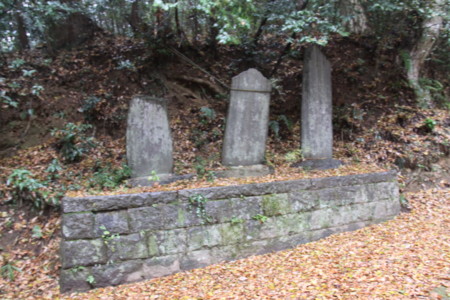 f:id:hantubojinusi:20121201121351j:image