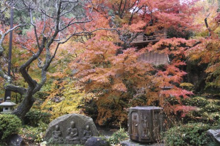 f:id:hantubojinusi:20121201123519j:image f:id:hantubojinusi:20121201123519j:image