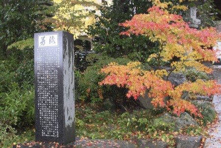 f:id:hantubojinusi:20121201123821j:image f:id:hantubojinusi:20121201123821j:image