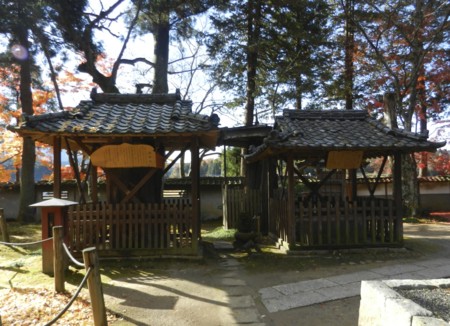 f:id:hantubojinusi:20121202095707j:image