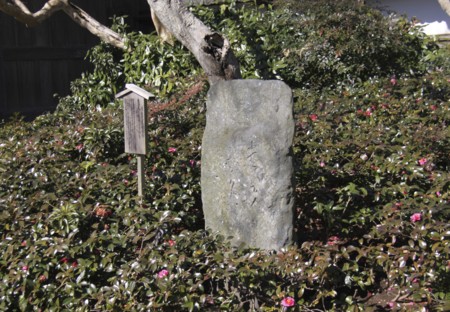 f:id:hantubojinusi:20130216105840j:image