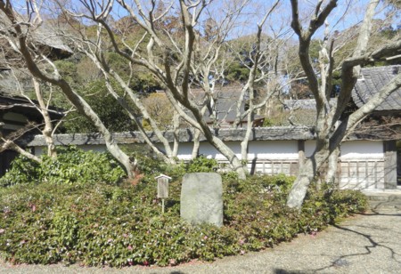 f:id:hantubojinusi:20130216110159j:image