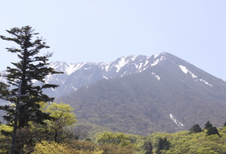 f:id:hantubojinusi:20130505104201j:image