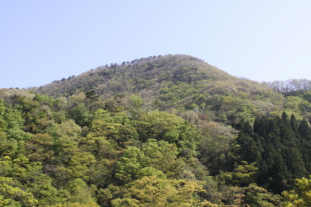 f:id:hantubojinusi:20130506084454j:image