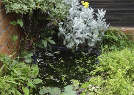 f:id:hantubojinusi:20130703143330j:image