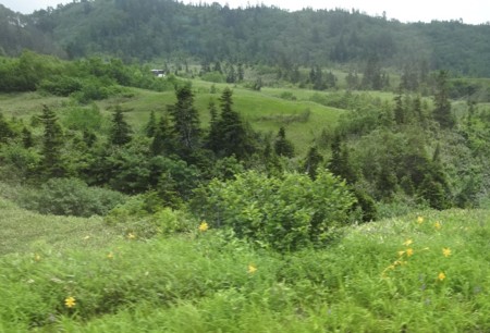 f:id:hantubojinusi:20130730131930j:image f:id:hantubojinusi:20130730131930j:image