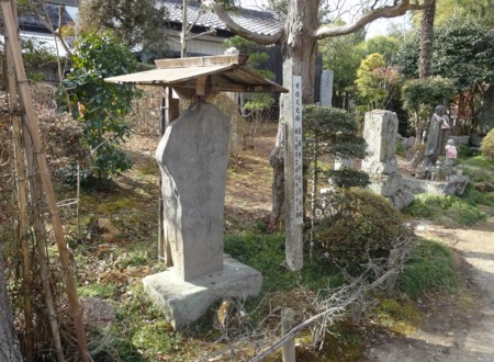 f:id:hantubojinusi:20140125100326j:image