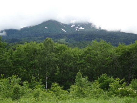 f:id:hantubojinusi:20140803161913j:image f:id:hantubojinusi:20140803161913j:image