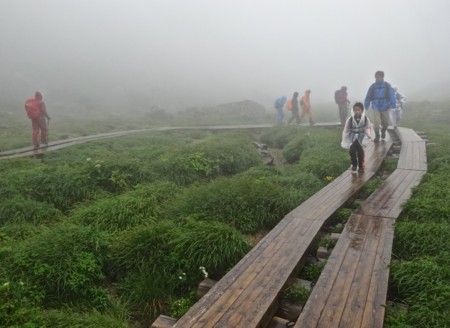 f:id:hantubojinusi:20140805084438j:image