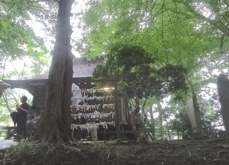 f:id:hantubojinusi:20140815114603j:image