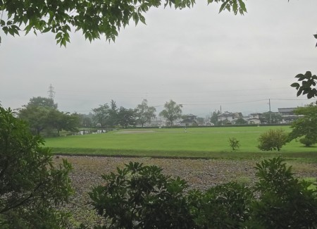 f:id:hantubojinusi:20140815132353j:image